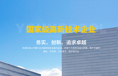 洋浦科(ke)技(ji)響應式(shi)網站網站案例