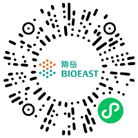 掃描案例二維(wei)碼